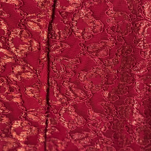 Scott McClintock Little Red Sparkle Lace Sleeveless Mini Dress - Picture 6 of 7